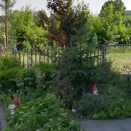 Appartement Im Gruenen By Interhome Steinfurt